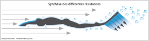 synthesis of passive and active resistances - bewaterfreediving - theopatrickfourcade